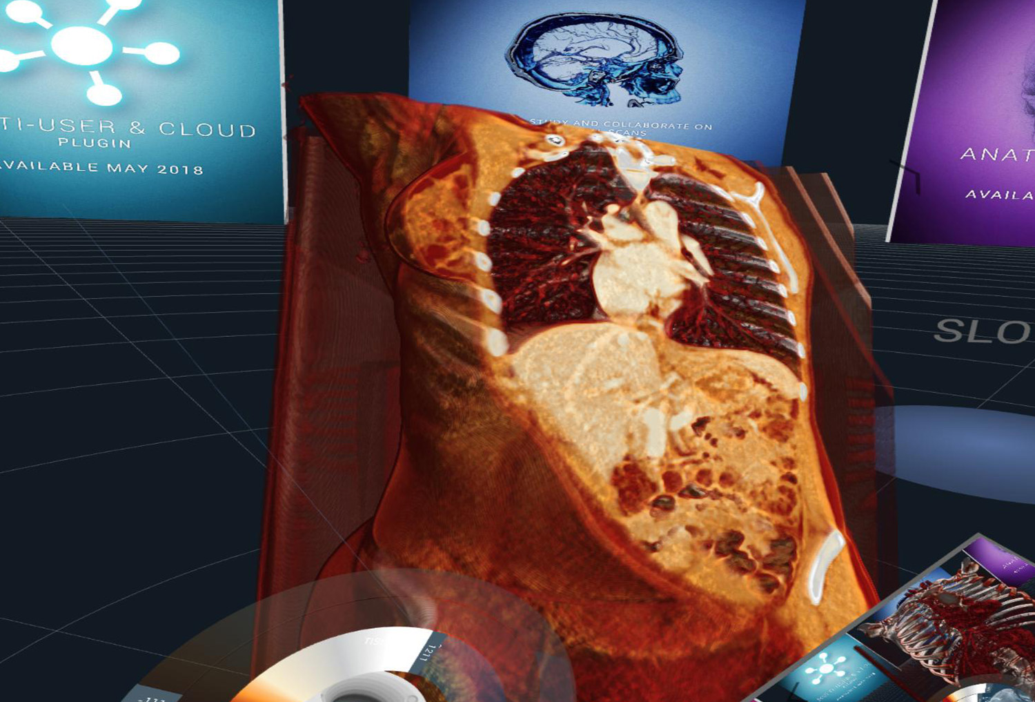 The <strong>DICOM viewer</strong> and <strong>Human Anatomy viewer</strong> for Virtual Reality VR: import 3D mesh Models in .obj Format and merge with Human Anatomy DICOM files
