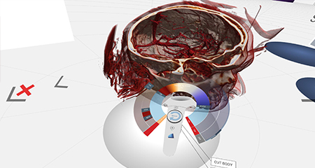 dicom viewer human anatomy controller 2
